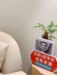 -唯奈斯肌肤管理中心