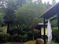 -明月山天沐温泉度假村