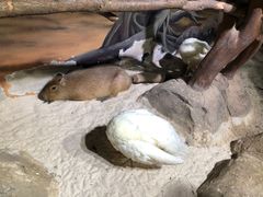 -海合安武汉极地海洋公园