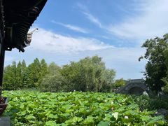 -高子水居