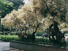-兆祥公园