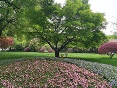 -上海兴国宾馆香樟园西餐厅