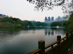 -重庆彩云湖湿地公园