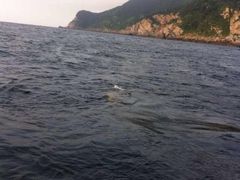 海风吹拂的渔场-香浙汇(望京店)