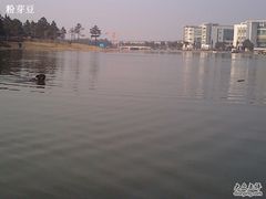 -美兰湖景区
