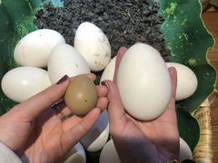 -丁里羊肉小镇(滨湖旗舰店)
