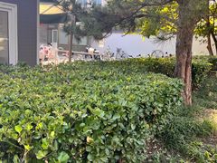 -皇家御河游(紫御湾码头)