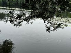 -西湖游船