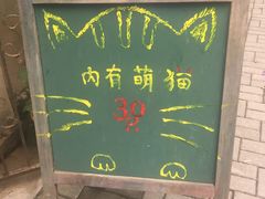 -猫色咖啡·猫咖