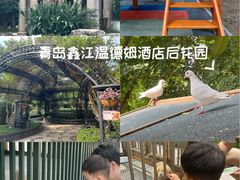 -青岛鑫江温德姆酒店