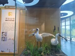 -漩门湾国家湿地公园