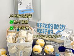 -白色日记·手作酸奶(麦凯乐店)