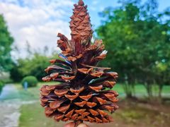 -白塘生态植物园