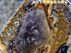 -新欢海鲜坊(赖屋店)