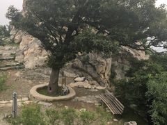 -北京鹫峰国家森林公园
