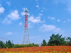 -羊亭河湿地公园