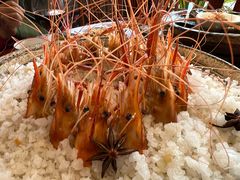 -农厨好味·温泉鹅·农家菜