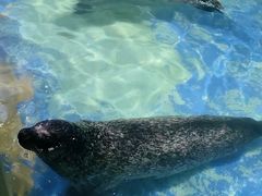 -太平洋海底世界