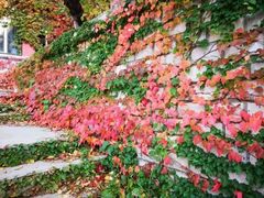 -大连市第二十四中学