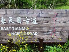 -东天目山风景区