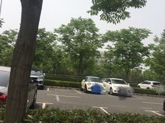 -顾村公园3号门停车场