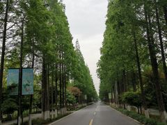 -歌斐颂巧克力小镇