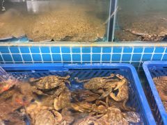 -老渔翁海肠捞饭(幸福九村店)