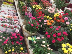 -秦美花卉(天朗·莱茵小城2期店)