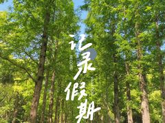 -上海滨江森林公园