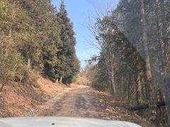 -武陵山森林公园