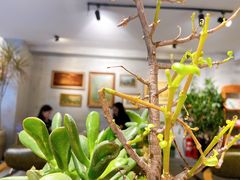 -25#COFFEE(古地石店)