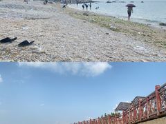 -海岛日记(养马岛店)