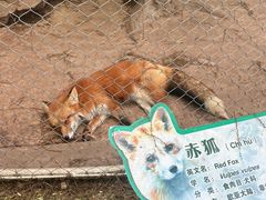 -杭州动物园