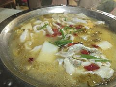 -陈生记黑鱼馆·20年活鱼现杀(宁波鼓楼店)