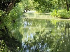 -梁鸿国家湿地公园