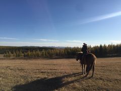 -塞罕坝国家级自然保护区