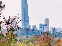 -九华山公园