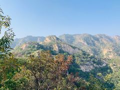 -大岭沟猕猴桃谷风景区