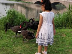 -江南大学(蠡湖校区)