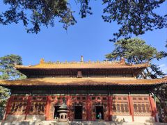 -普乐寺