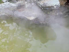 -清湖文化公园