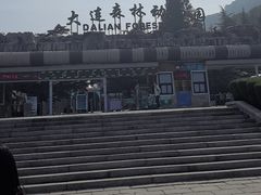 -大连森林动物园