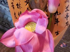 -青州古城