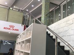 -爱侣宠医·鹦鹉专科·小型哺乳类·异宠专科(灵石路店)