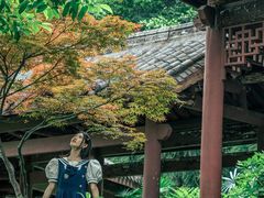 -龙头寺公园
