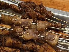 -福苗小骆驼烧烤(莲湖路店)