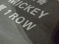 -迪士尼乐园停车场