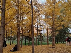 -森林公园(尖草坪区)