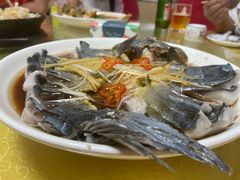 -煲来饱去冷水鱼