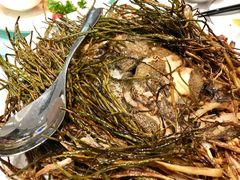 葱烤鸦片鱼头-新吉士·上海菜(浦东LCM置汇旭辉店)